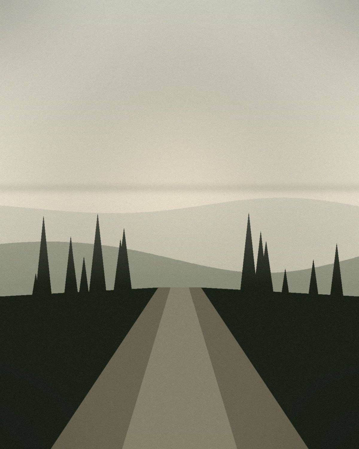 A road lined with pines